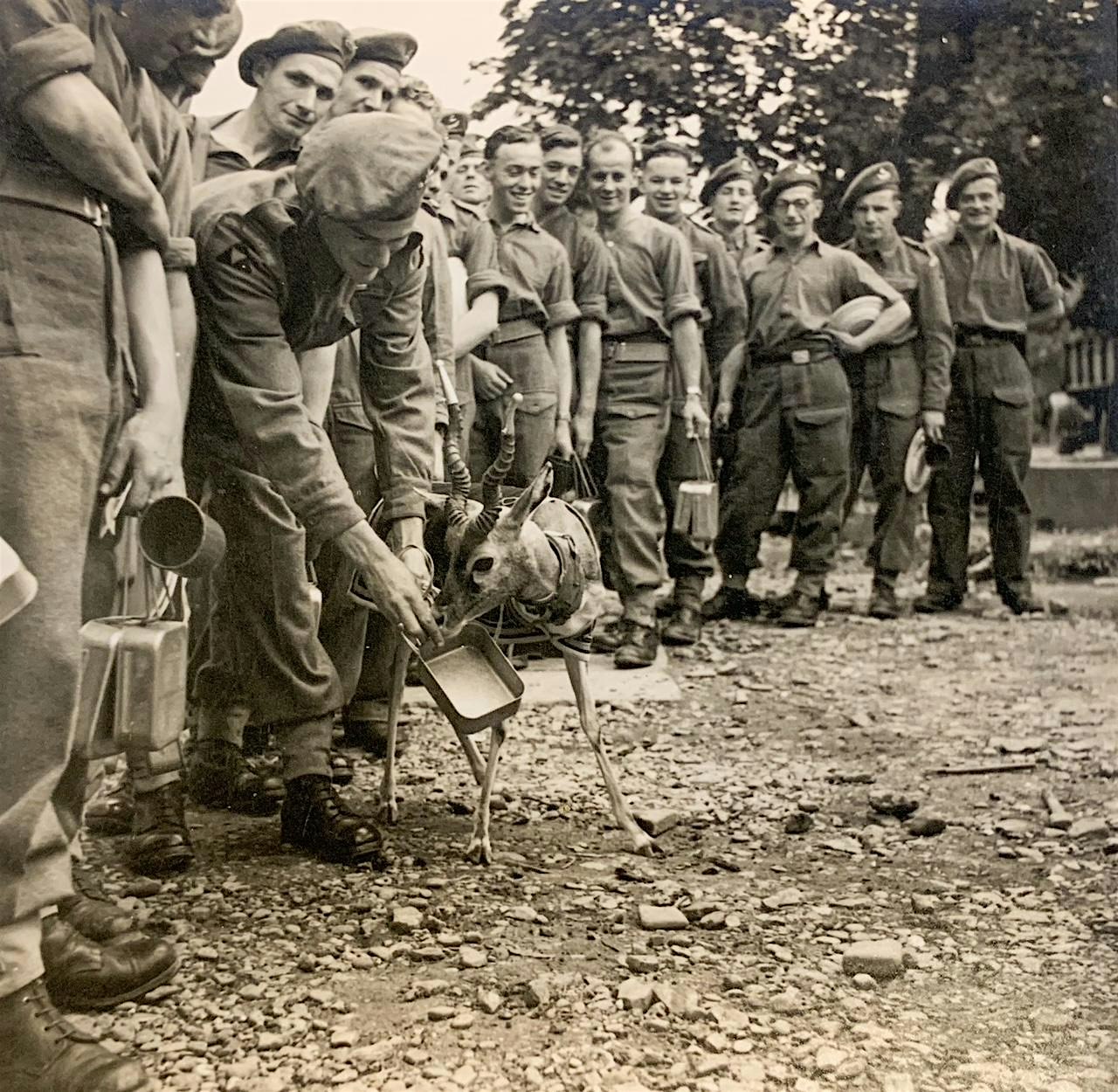 Rations & Cookers – 200 Years of Food in the Army